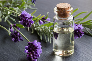 LAVENDER OIL-CLEAR WHITE