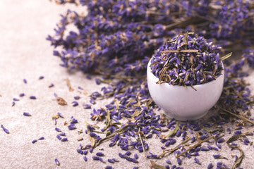 LAVENDER BLUE BUD