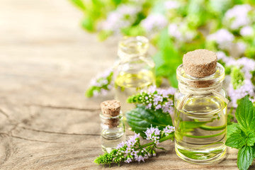 MAGNET FRAGRANCE OIL