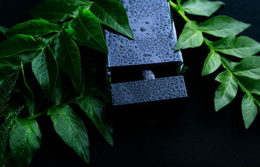 GUCCI BLACK pour ome by Gucci