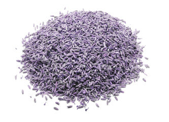 LAVENDER BLUE BUD