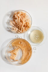 SEA WEED LIQUID EXTRACT