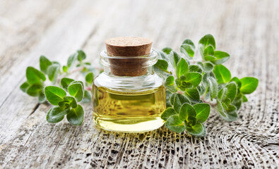OREGANO OIL
