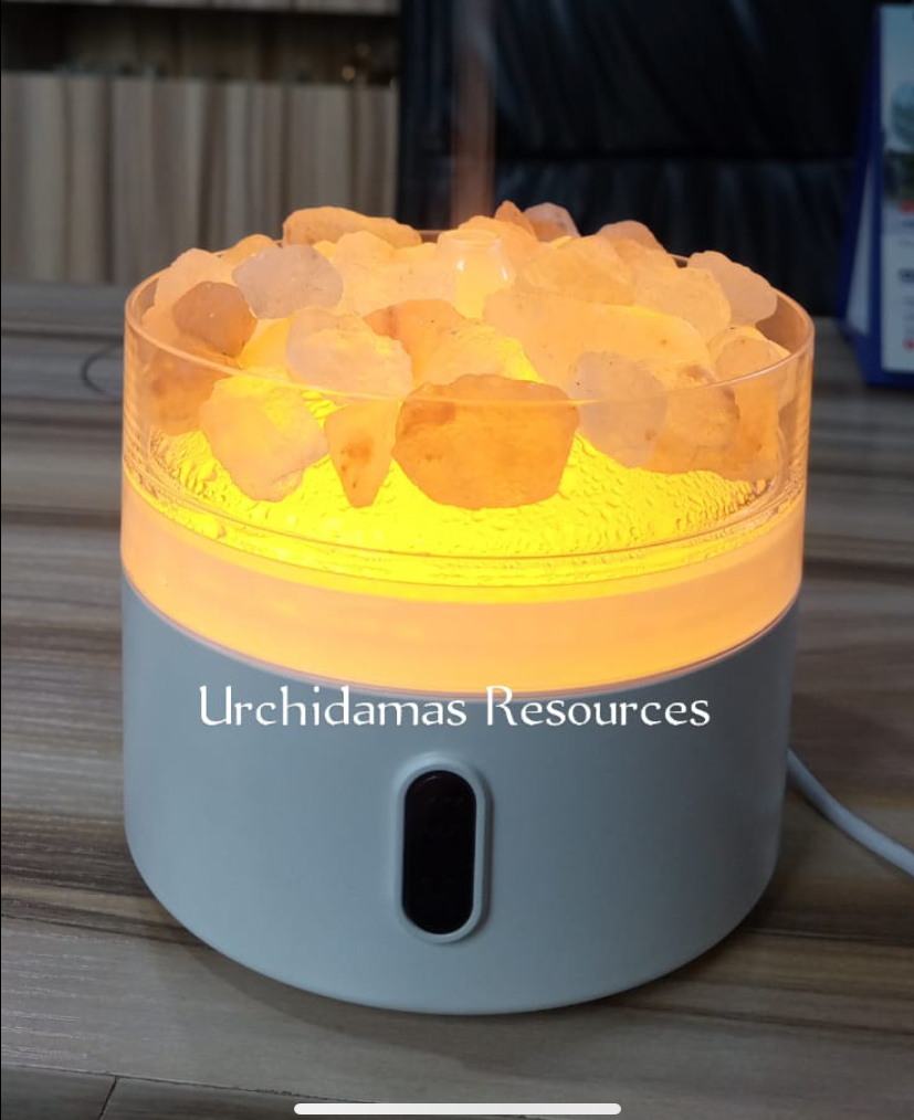 SALTY CHARCOAL HUMIDIFIER