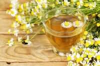 CHAMOMILE BOTANICAL LIQUID EXTRACT