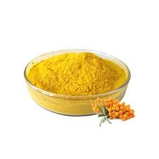 SEA BUCKTHORN BOTANICAL EXTRACT POWDER