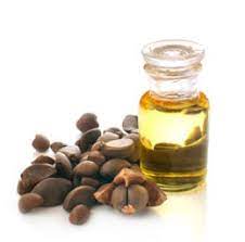 CAMELLIA SEED OIL
