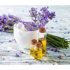 BLACK AMBER & LAVENDER FRAGRANCE OIL-NATURE'S GARDEN