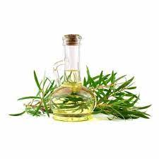 TEA TREE CARRIER OIL