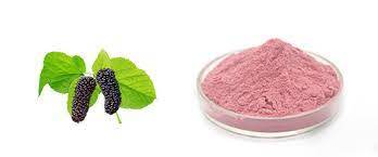 BEARBERRY FRUIT EXTRACT POWDER – LIGHT PINK