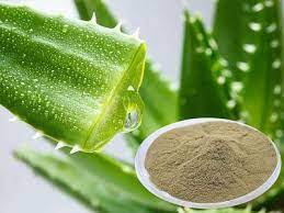 ALOE VERA EXTRACT POWDER