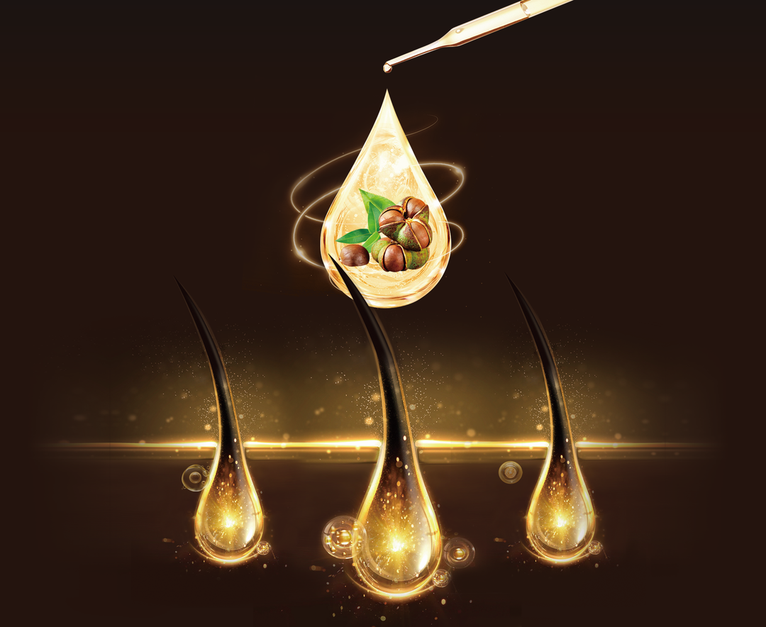 CAMELLIA SEED LIQUID EXTRACT