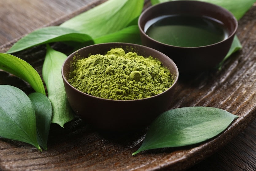 MATCHA A GREEN TEA EXTRACT POWDER