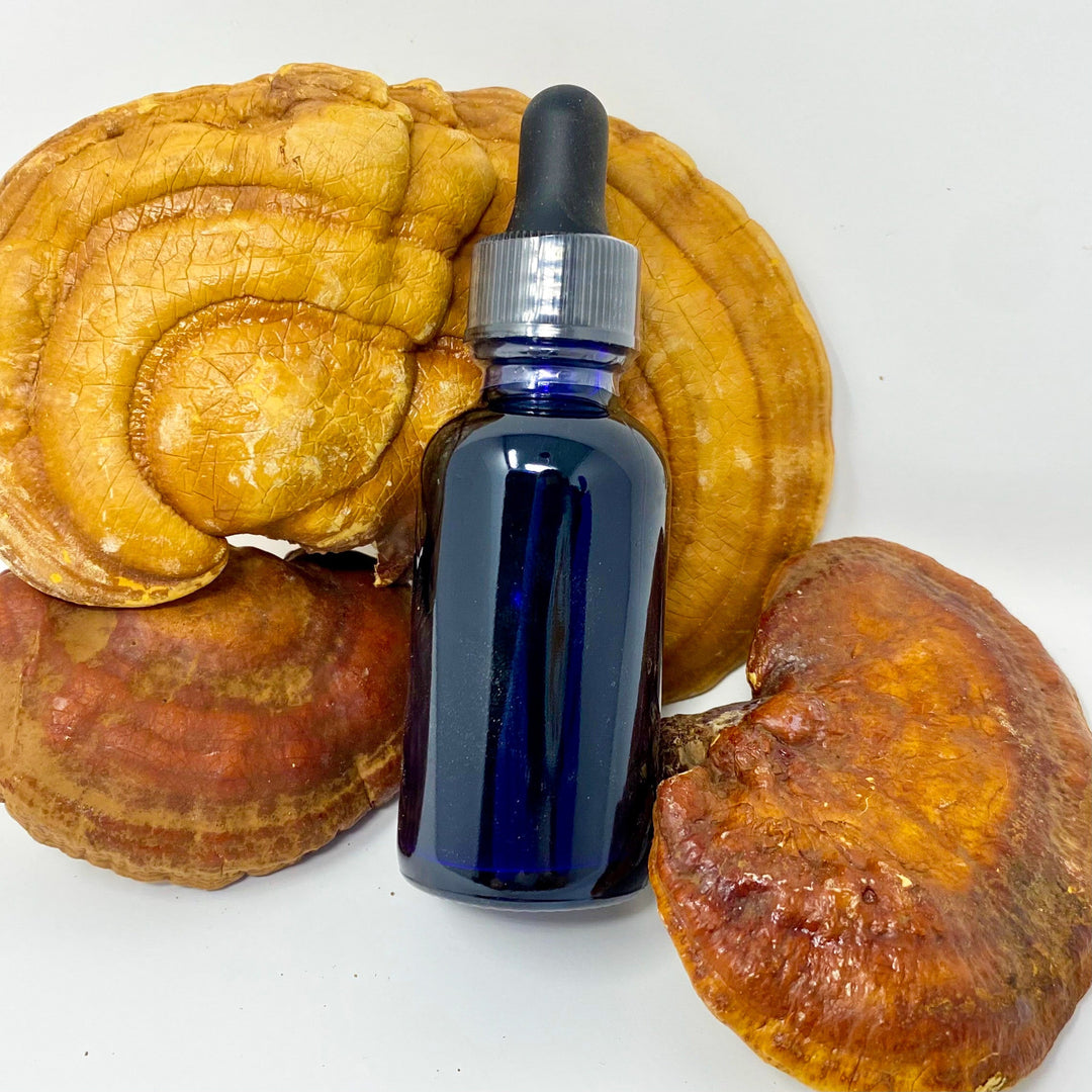 GANODERMA LIQUID EXTRACT