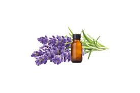 LAVENDER F FRAGRANCE OIL