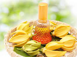 YLANG YLANG ESSENTIAL OIL