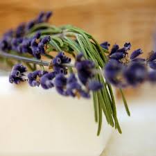 LAVENDER B FRAGRANCE OIL