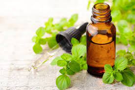 OREGANO ESSENTIAL OIL